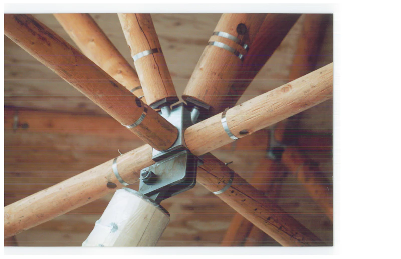 Logs: material photograph 3