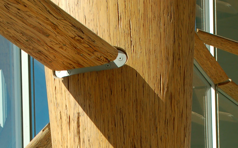 Parallel Strand Lumber: material photograph
