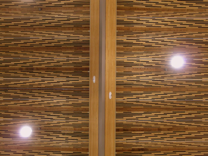 WoodWave Panel: material photograph 14