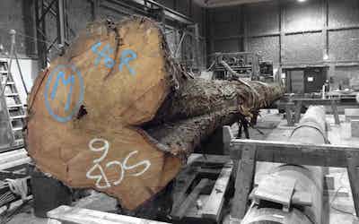 Logs Image