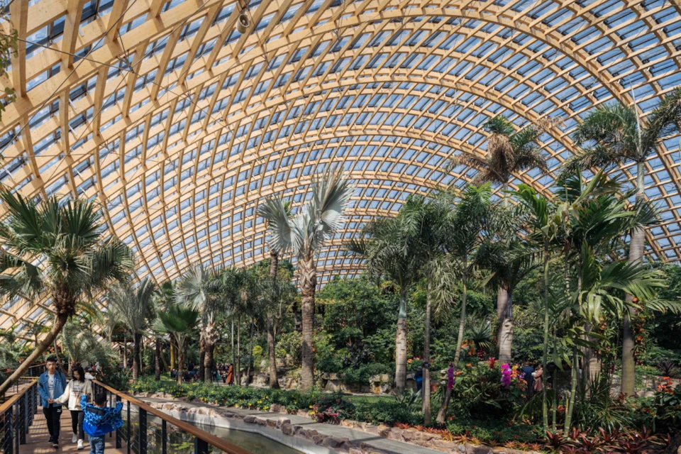 Tropical planting beneath the latticed Taiyuan Botanical Garden dome