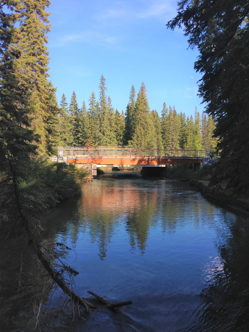 Banff Legacy Trail Bridge across a forested river