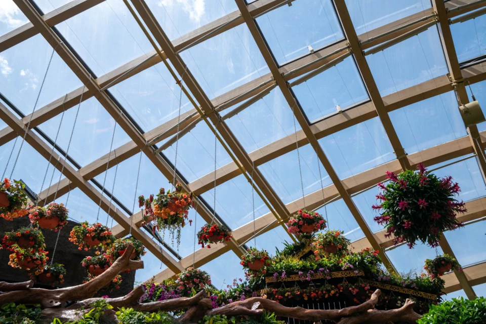 Plants beneath the glazed dome roof at Taiyuan Botanical Garden