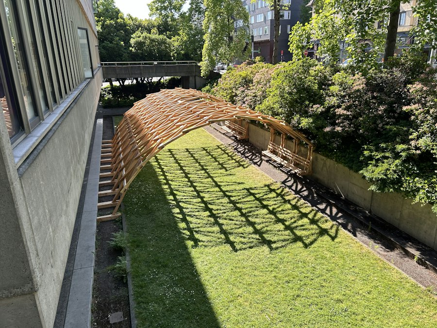 Timber Wave at the University of Washington