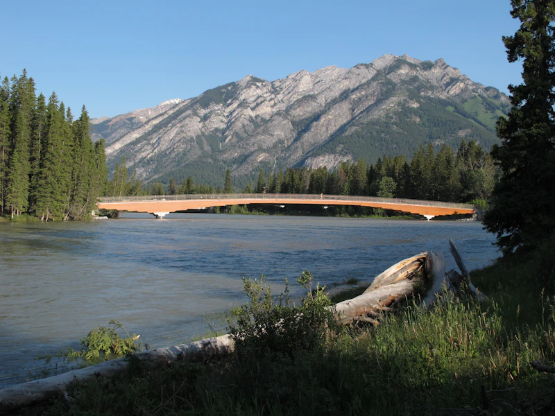 Bow River Pedestrian Bridge