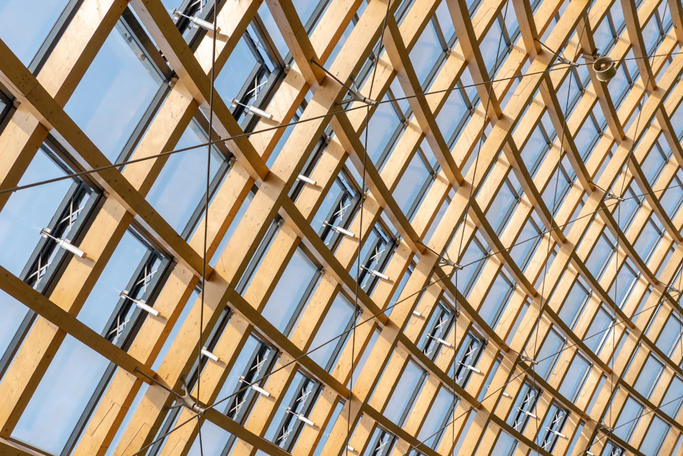 Diagonal wood lattice and glazing at Taiyuan Botanical Garden domes