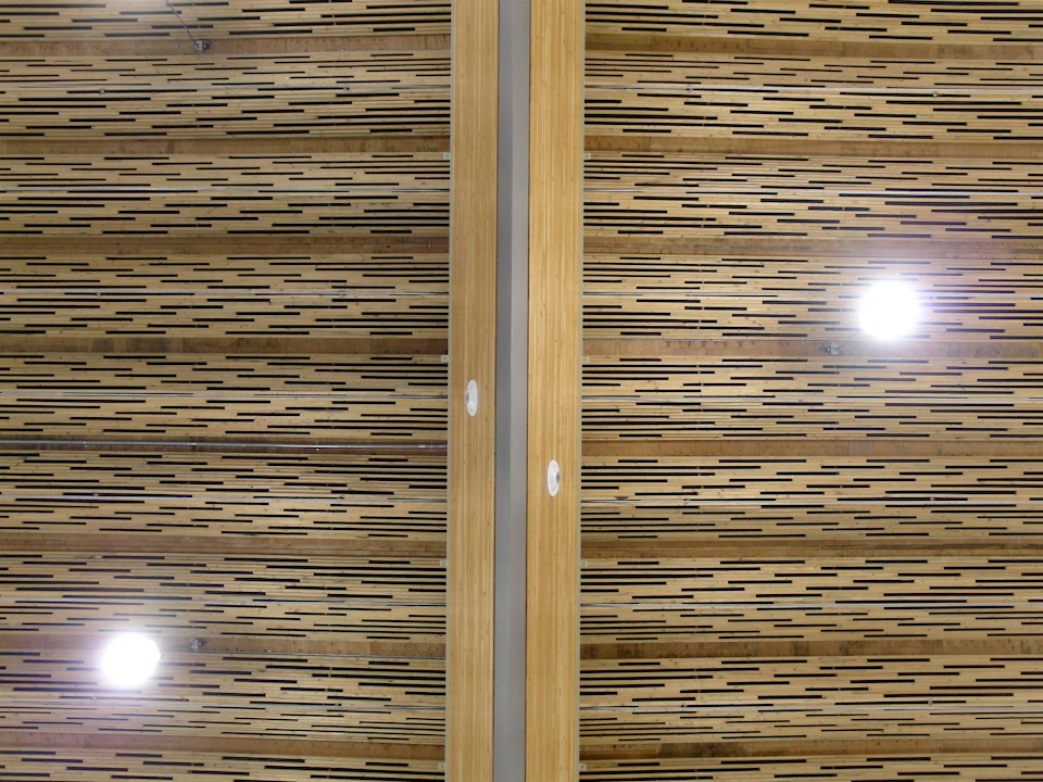 Close view of laminated wood roof layers at Richmond Olympic Oval