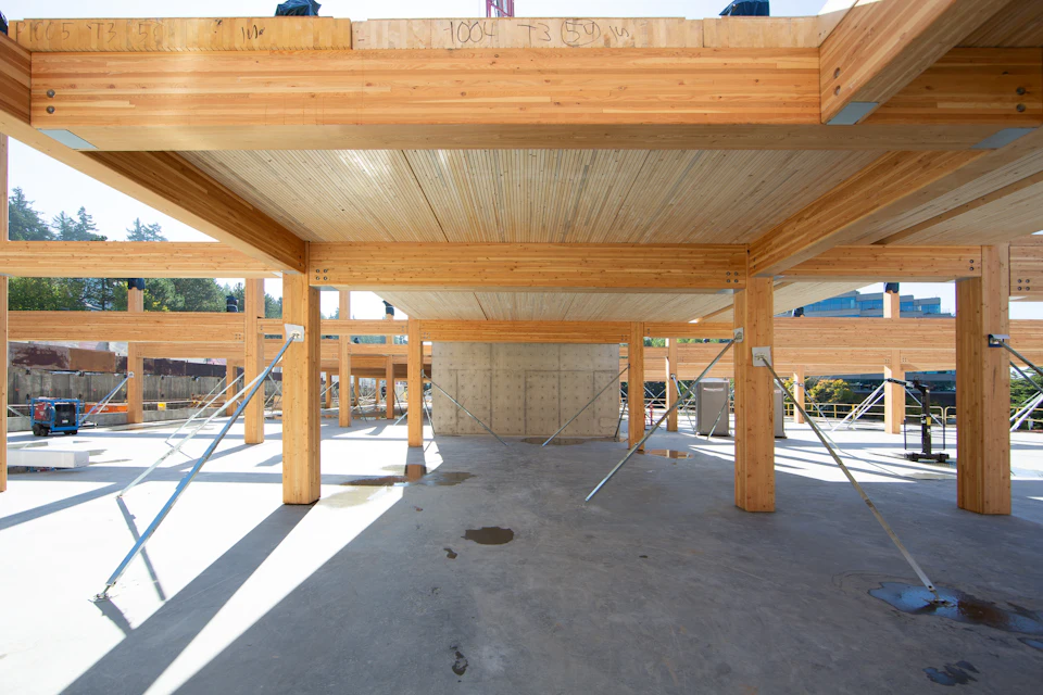Completed timber frame at Lakeview Office Building