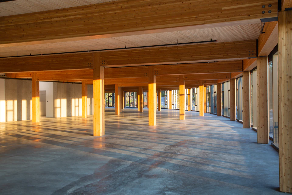 Open office floor framed with wood columns and beams at Lakeview Office Building