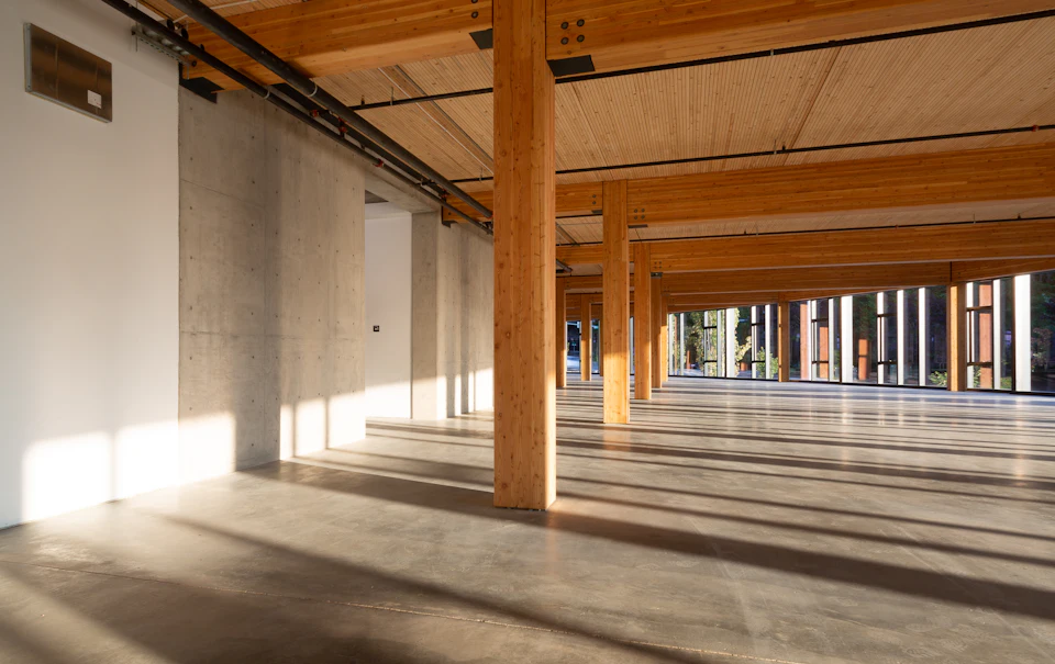 Sunlit office floor framed with wood columns and beams at Lakeview Office Building