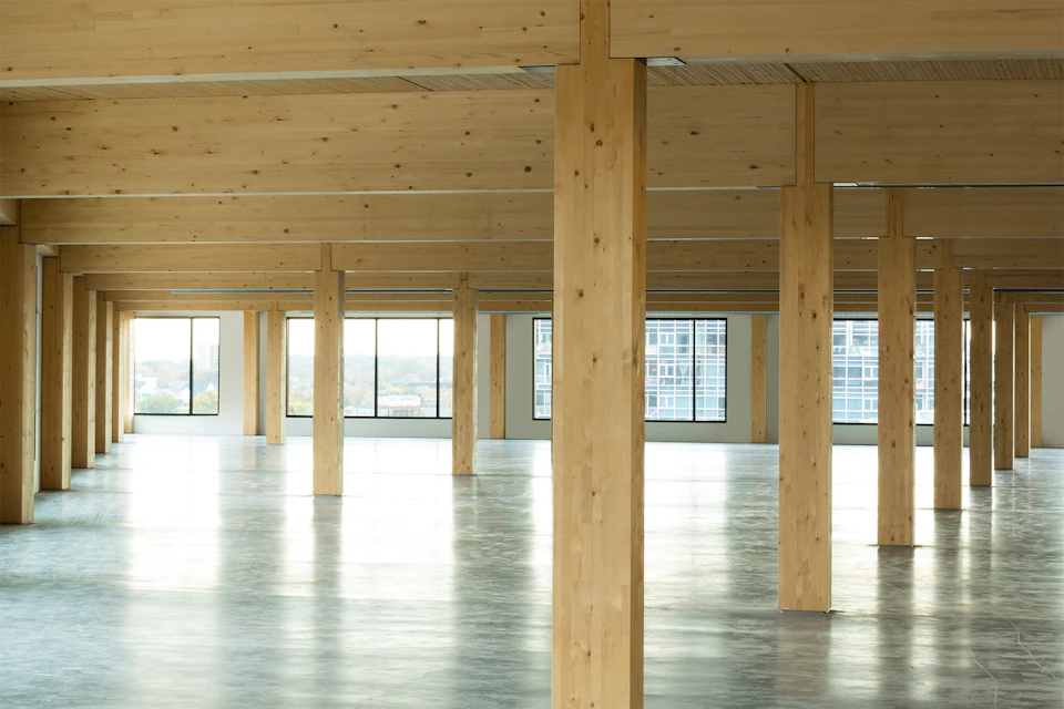 Open office floor with wood columns at T3 Minneapolis