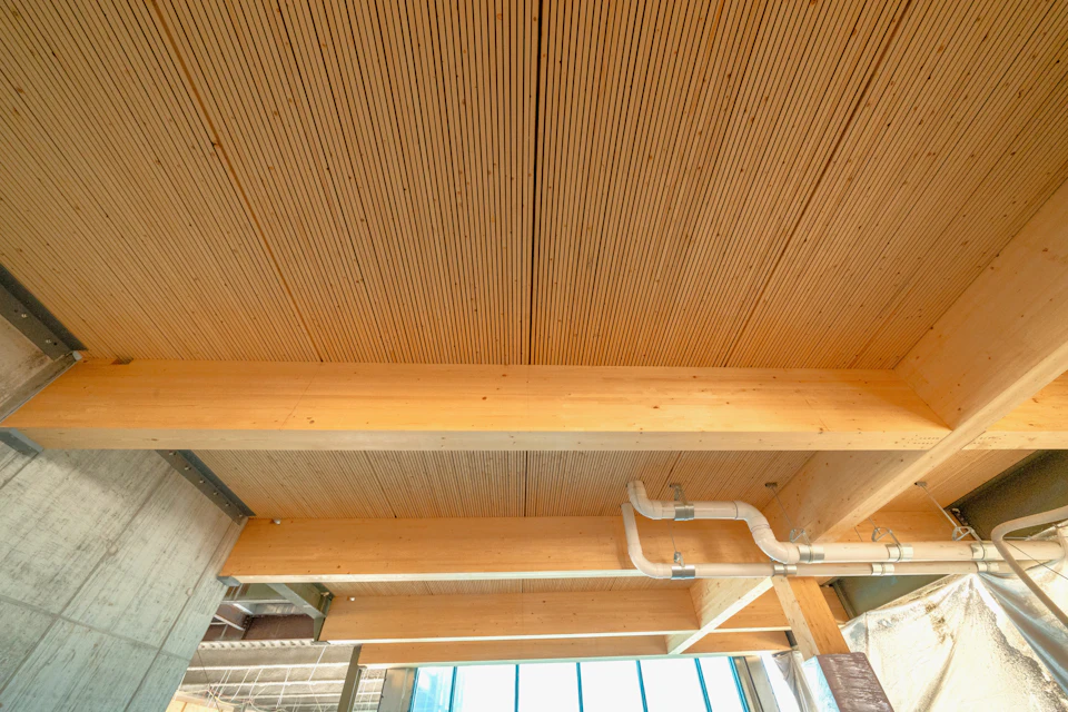 Wood ceiling panels during construction at Princeton University Commons