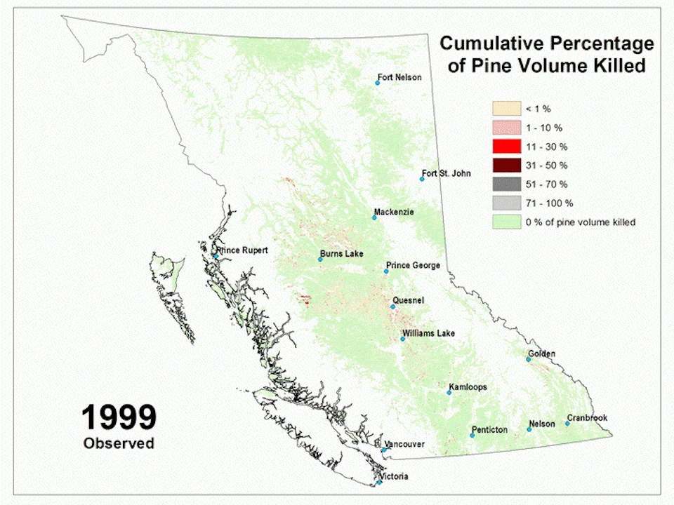 Map of cumulative pine loss in British Columbia