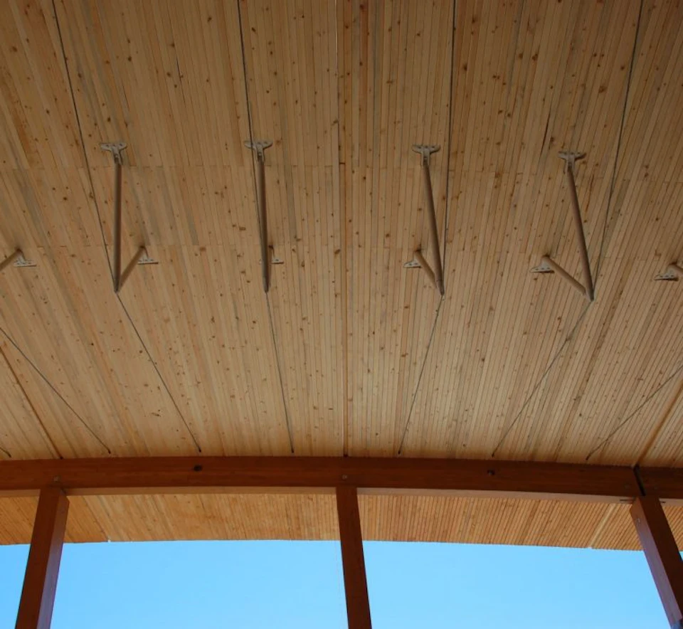 Wood ceiling at Samuel Brighouse School atrium