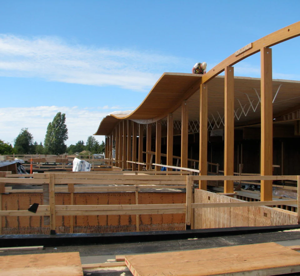 Curving wood atrium roof under construction at Samuel Brighouse School