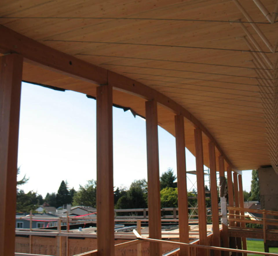 Timber atrium roof at Samuel Brighouse School