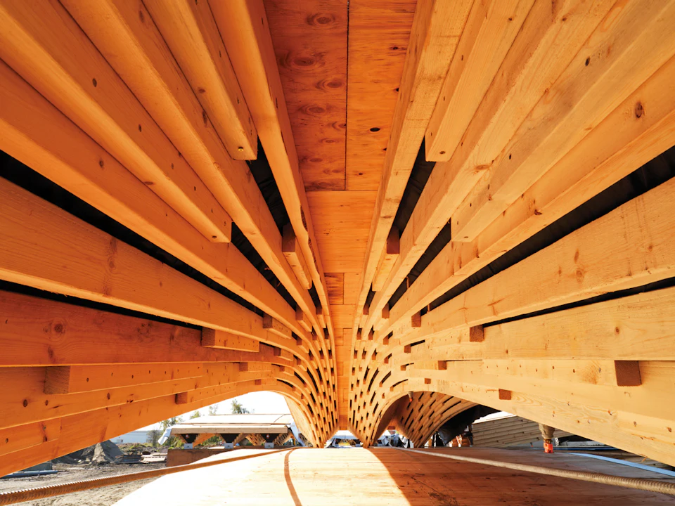 Radiating wood roof members viewed from below at Richmond Olympic Oval