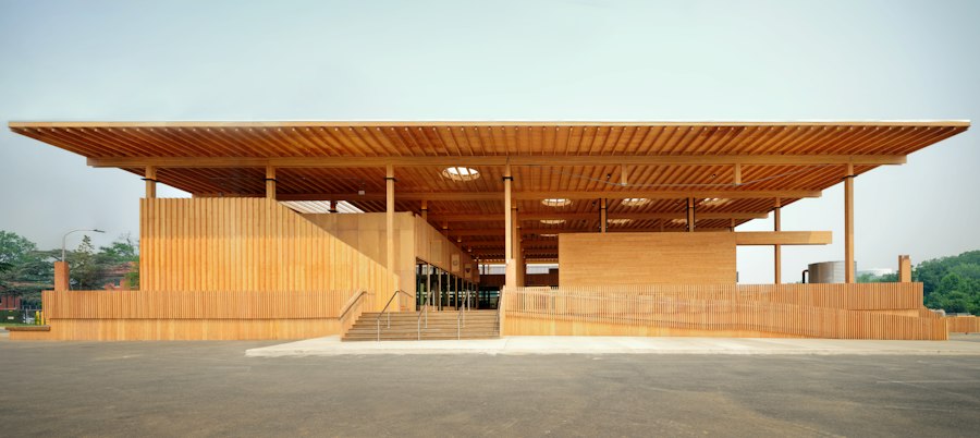 Sycamore & Oak