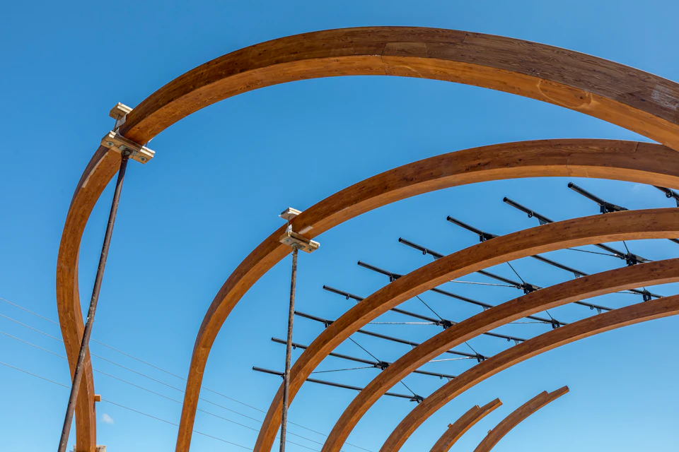 Curved wood ribs of the Halperin Park stage canopy