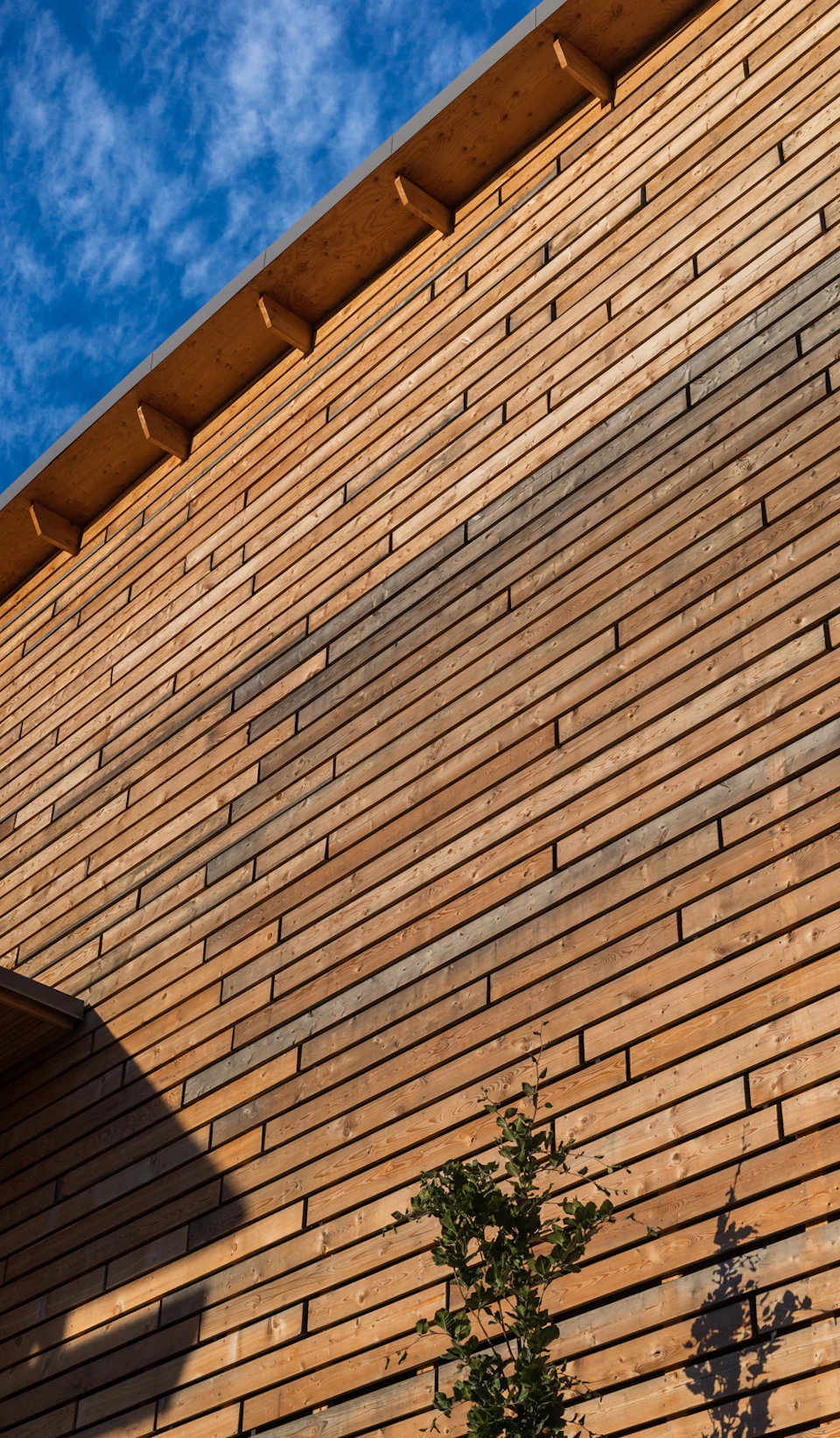 Close view of wood cladding at StructureCraft Headquarters