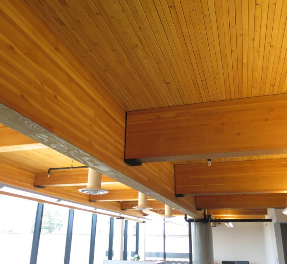 Close view beneath the wood ceiling at Trail Appliances Headquarters