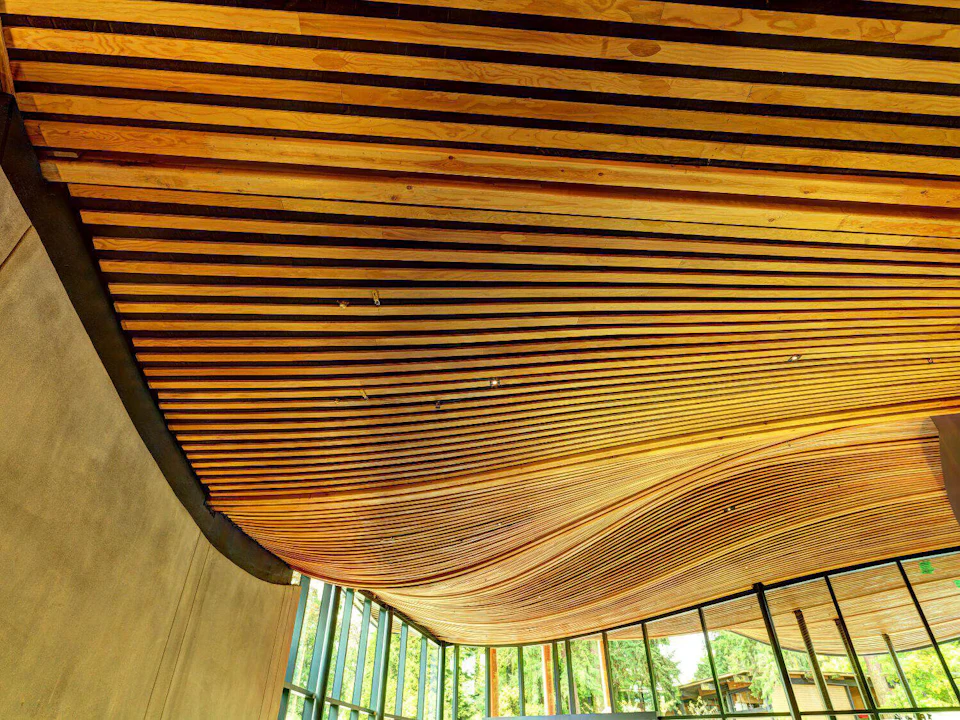 Curving wood ceiling at VanDusen Botanical Gardens Visitor Centre